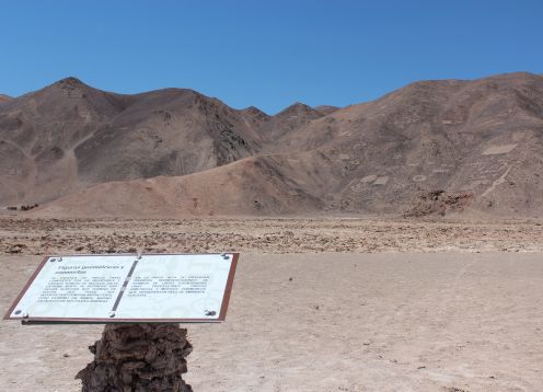 Geoglyphs of Pintados, Iquique