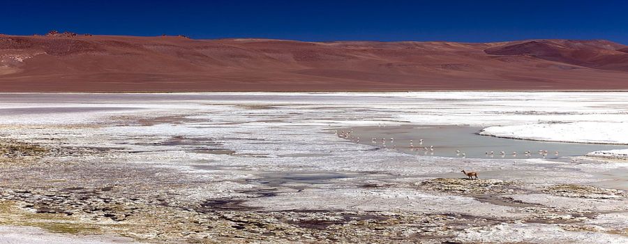 Salar de Pujsa San Pedro de Atacama, CHILE
