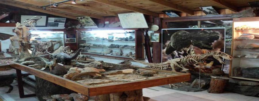 Museum of Geology and Paleontology Dr. Rosendo Pascual Bariloche, ARGENTINA