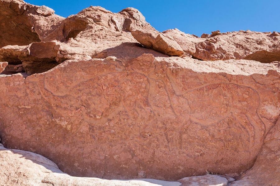 Petroglyphs of Yerbas Buenas San Pedro de Atacama, CHILE