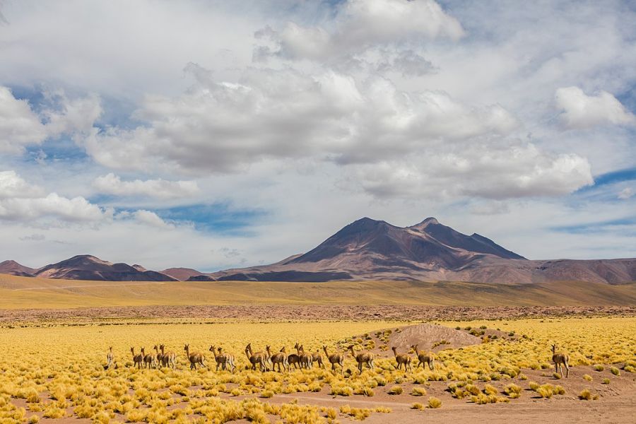 Los Flamencos National Reserve, San Pedro de Atacama, Hotels, National