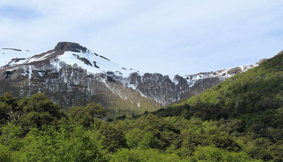 Futaleuf? National Reserve Futaleufu, CHILE