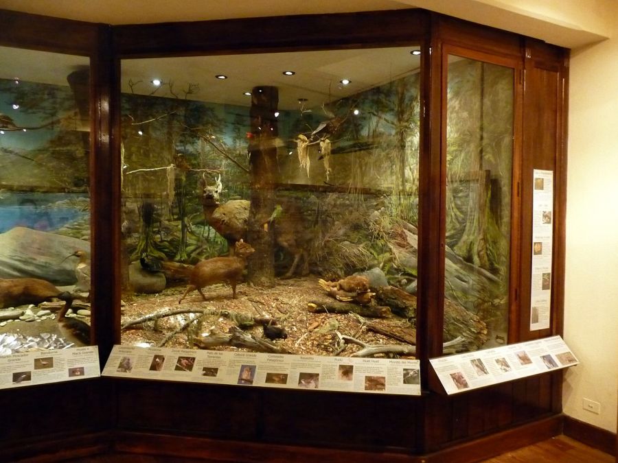 Museum of Patagonia. Bariloche - Argentina Bariloche, ARGENTINA