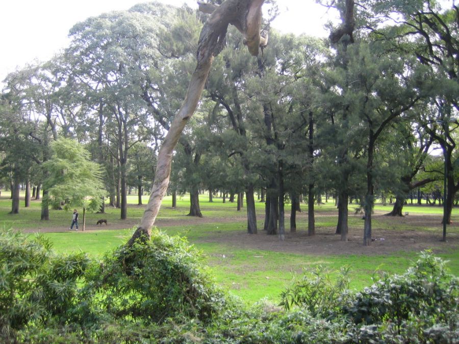 Forests of Palermo, Buenos Aires, Argentina, Guide of Buenos Aires Buenos Aires, ARGENTINA