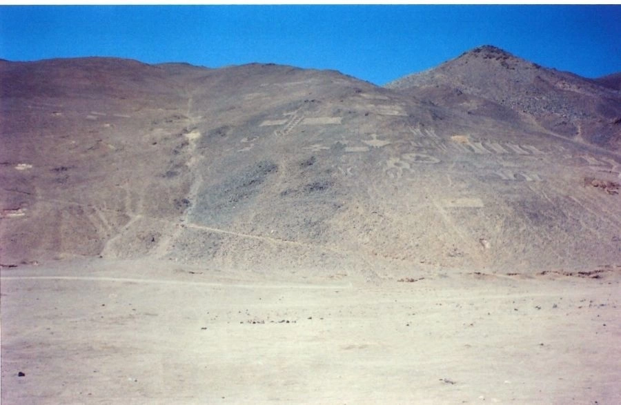 Pampa del Tamarugal national reserve, Atacama Iquique, CHILE