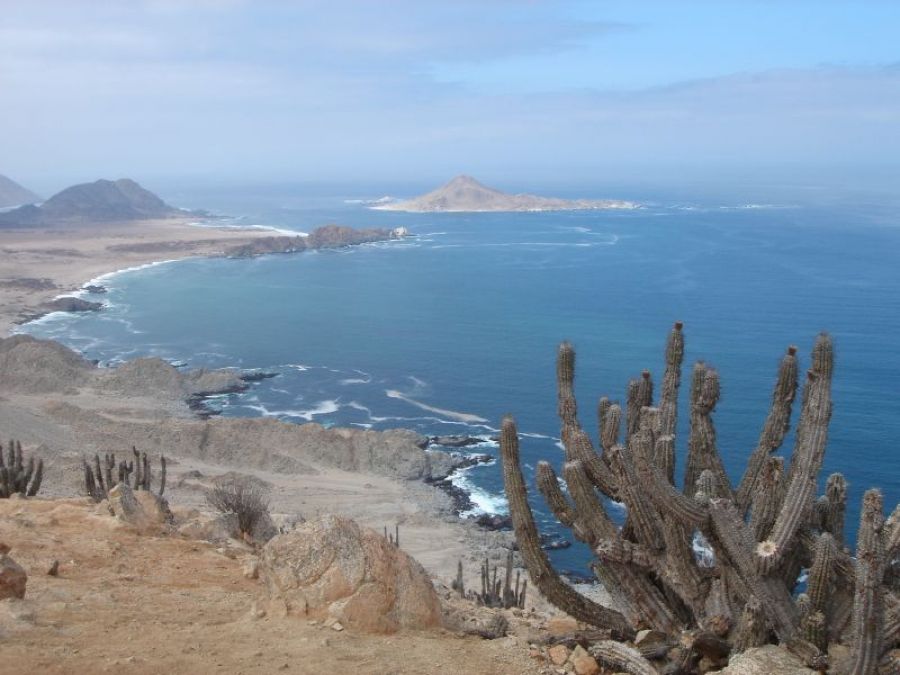 Pan de Azucar National Park - Antofagasta Antofagasta, CHILE