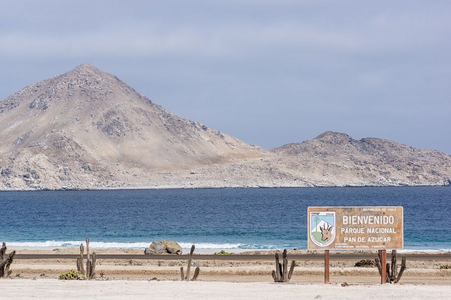 Pan de Azucar National Park - Antofagasta Antofagasta, CHILE