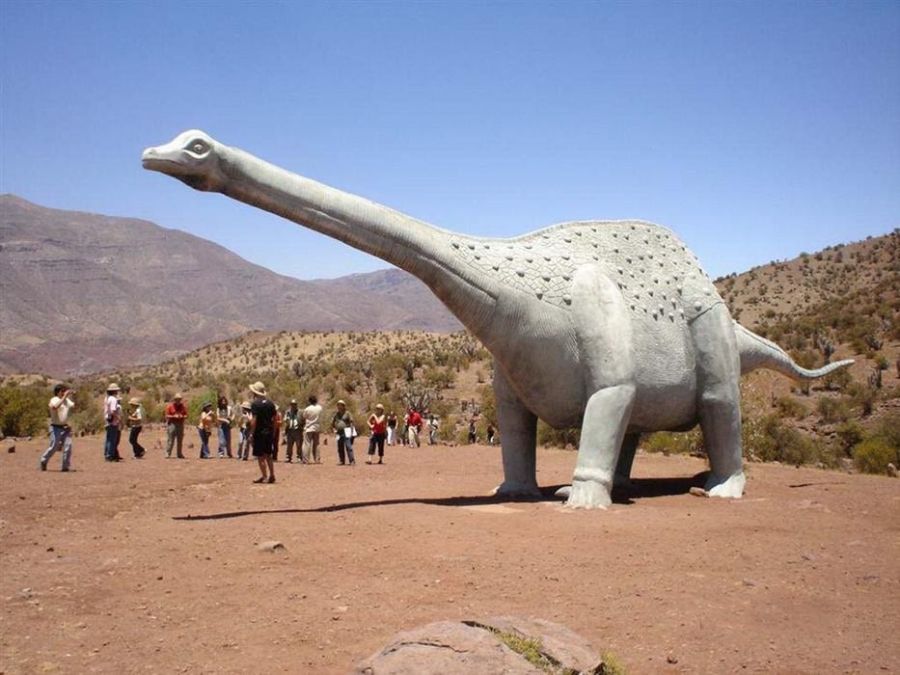 Natural Monument Pichasca, Ovalle Guide. Hotels, National Parks in