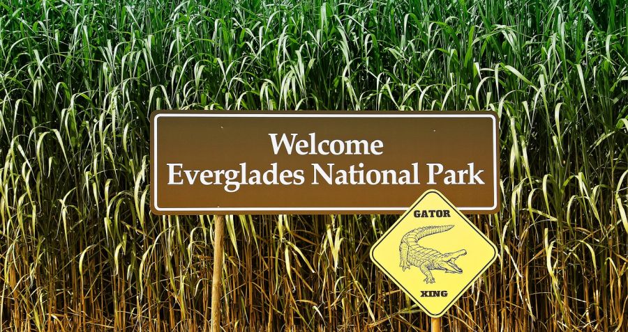 Everglades National Park is a World Heritage Site and is located in the southeastern corner of the United States in the state of Florida. Miami, FL, UNITED STATES