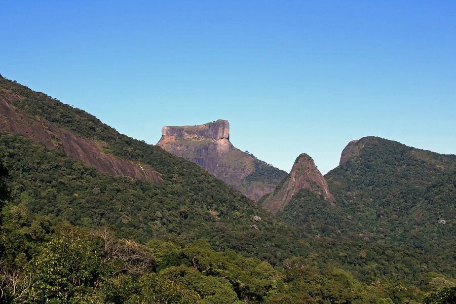 National Park and Floresta da Tijuca, Rio de Janeiro - Brasil Rio de Janeiro, BRAZIL