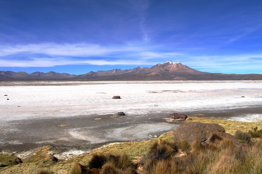 Natural Monument Salar de Surire Putre, CHILE