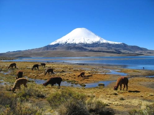 Lauca National Park, Putre