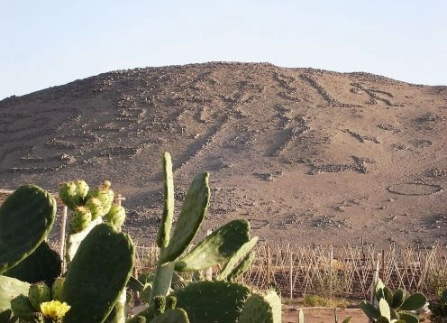 Azapa Valley, Arica