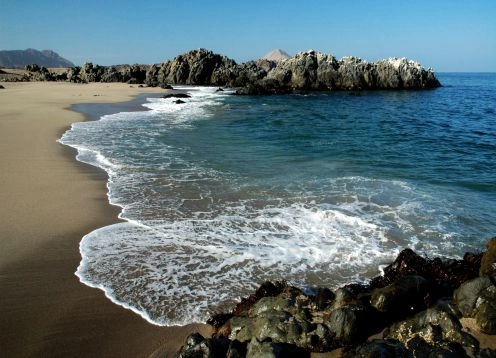 Pan de Azucar National Park, Antofagasta