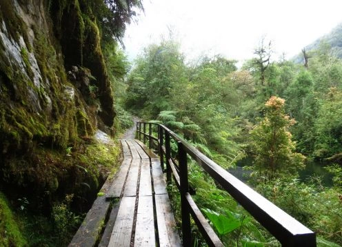 Alerce Andino National Park, Puerto Montt