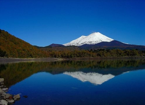 Conguillo National Park, Lonquimay