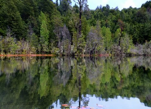 Puyehue National Park