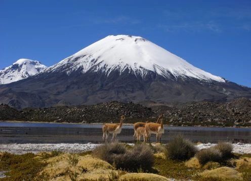 Parinacota volcano, Arica