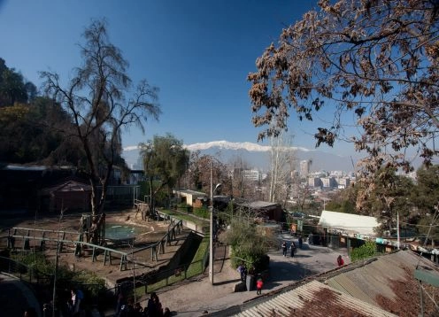 Santiago Zoo, Santiago