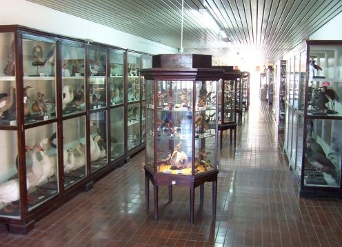 Museum of Natural Science Domingo Faustino Sarmiento, 