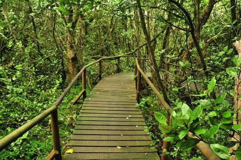 Fray Jorge National Park, La Serena