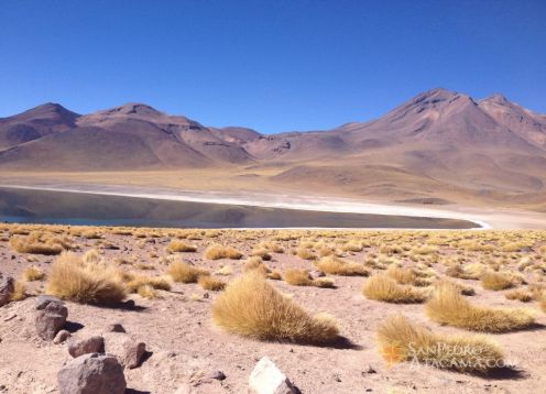 Miscanti Lagoon, San Pedro de Atacama
