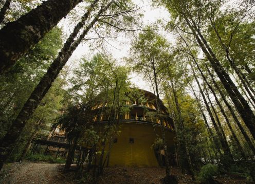 Reino Fungi Hotel 