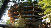 Hotel Nothofagus, ex hotel Baobab, Huilo Huilo, CHILE