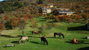 HACIENDA TRES LAGOS, Coyhaique, CHILE