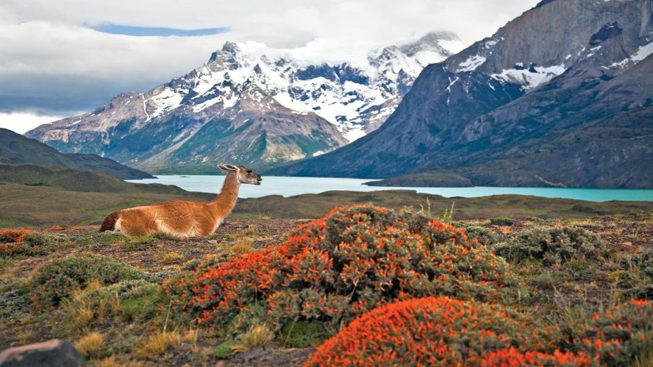 TORRES DEL PAINE AND SANTIAGO, , 