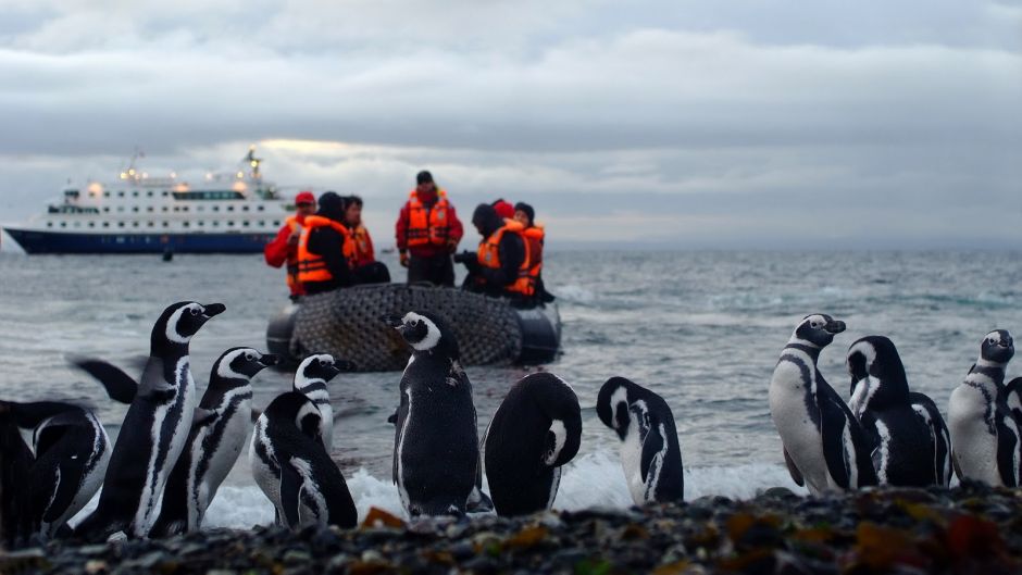 AUSTRALIS CRUISER // PUNTA ARENAS - USHUAIA, , 