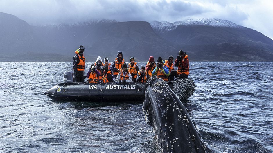 AUSTRALIS CRUISER // PUNTA ARENAS - USHUAIA, , 