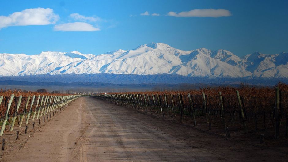 MENDOZA AND ITS WINES, , 