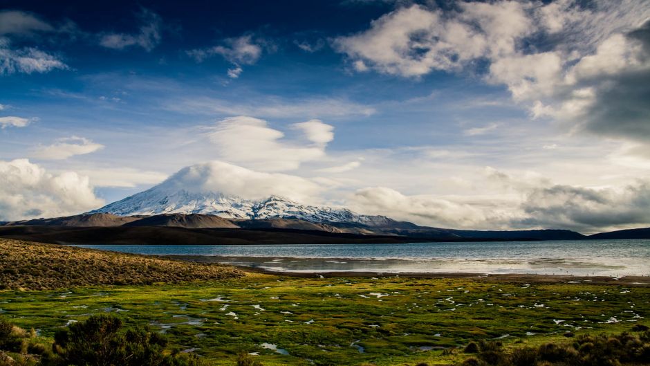 LAUCA NATIONAL PARK AND SALAR SURIRE, , 