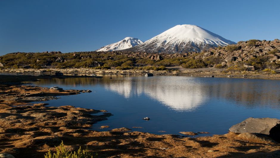 ARICA - LAUCA NATIONAL PARK - IQUIQUE, , 