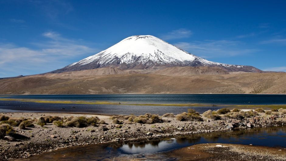 ARICA - LAUCA NATIONAL PARK - IQUIQUE, , 