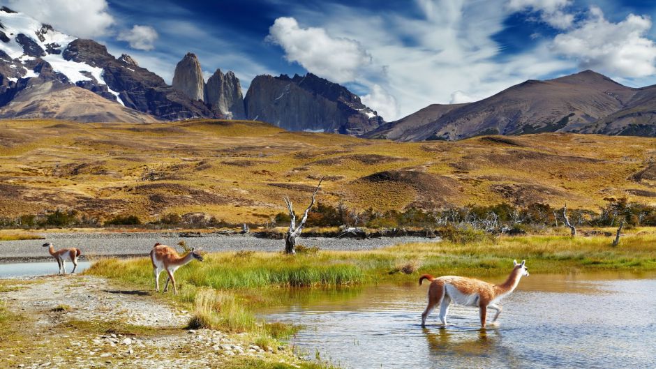 SANTIAGO, TORRES DEL PAINE / CALAFATE  (ARGENTINA), , 