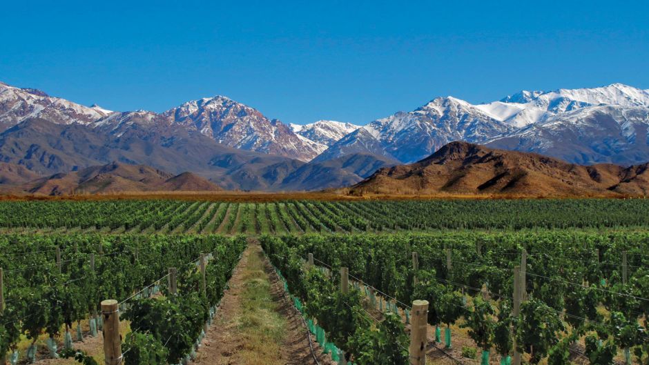 BEST OF SANTIAGO, CHILE AND MENDOZA ARGENTINA, , 