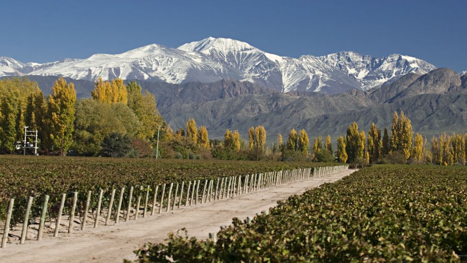 BEST OF SANTIAGO, CHILE AND MENDOZA ARGENTINA, , 