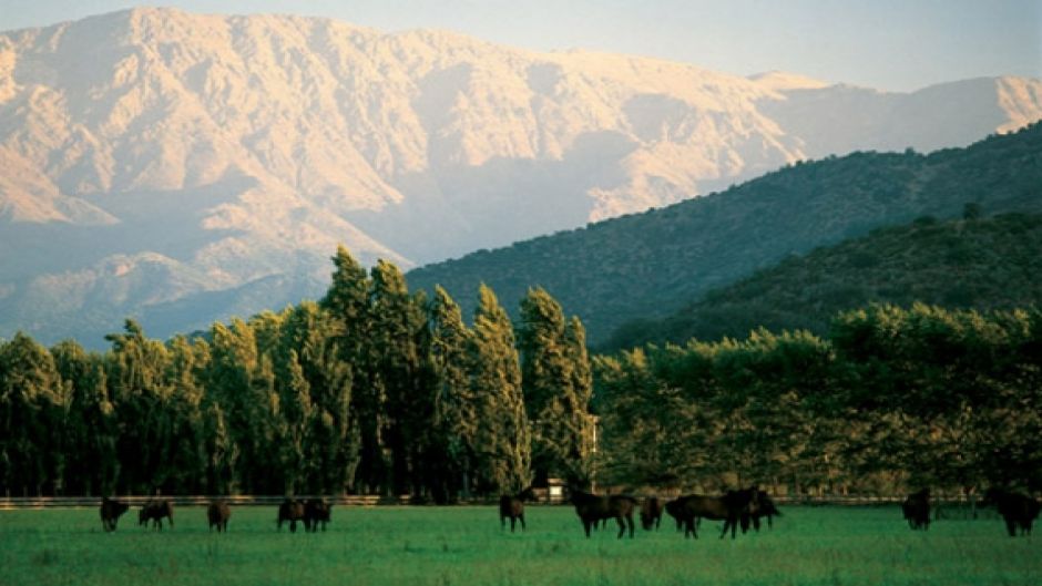 WINE ROUTE - MAIPO VALLEY IN CHILE, , 