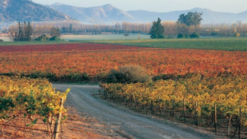 WINE ROUTE - MAIPO VALLEY IN CHILE, , 