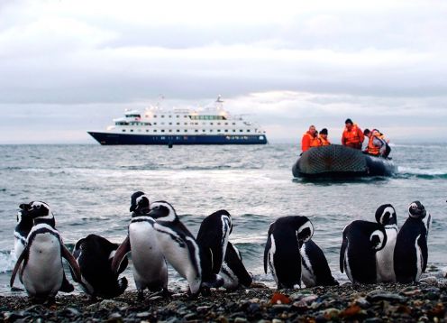 AUSTRALIS CRUISER // PUNTA ARENAS - USHUAIA