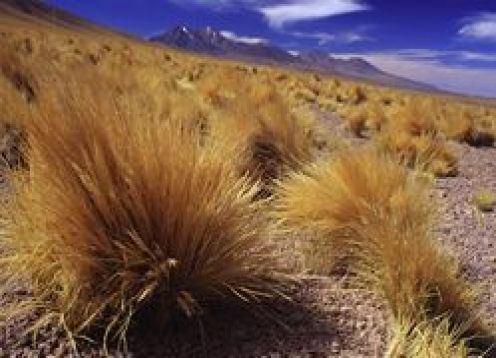 SAN PEDRO DE ATACAMA AND ITS SURROUNDINGS