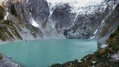 Wild Patagonia, , 