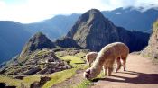 HOLY PILGRIMAGE TO MACHU PICCHU, , 