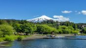 ECONOMIC PUCON, , 