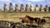 ISLA DE PASCUA EXPRESS, , 