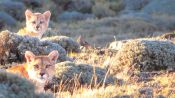 TORRES DEL PAINE  SUPER ECONOMICAL, , 