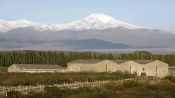 MENDOZA AND ITS WINES, , 