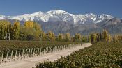 SPECIAL MENDOZA, , 